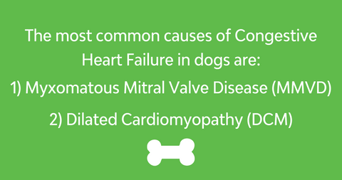 Most common causes of CHF