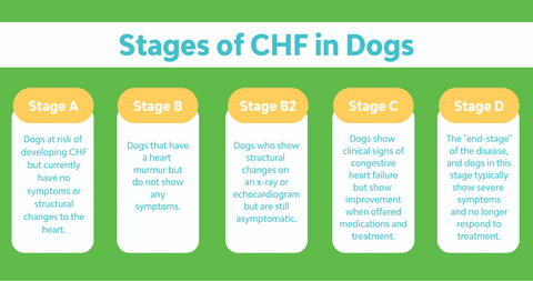 Stages of CHF