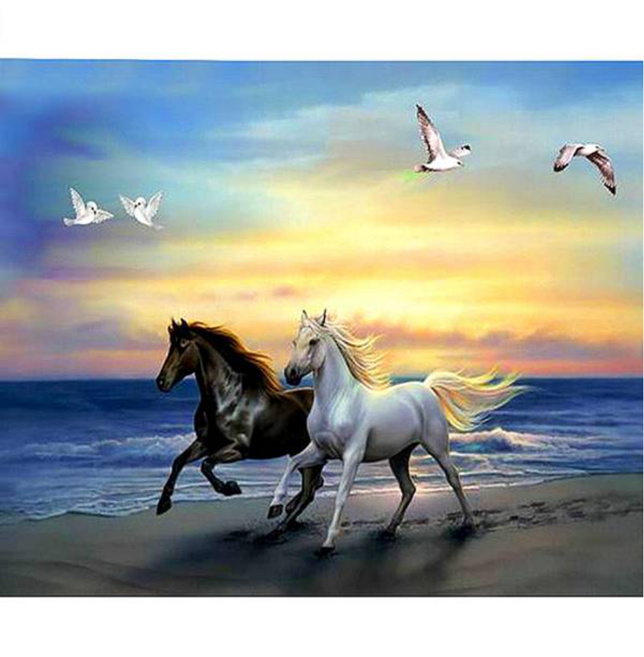 Black and White Horse by the Sea 5D Diamond Painting - 5diamondpainting