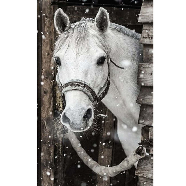 White Horse 50x65cm Diamond Art — Creative Treasures NZ