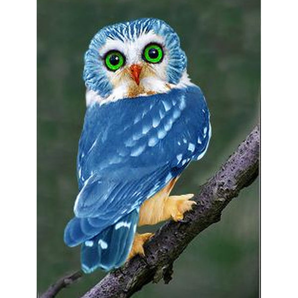 Owl Stand on Tree - Special Diamond Painting – Paint by Diamonds