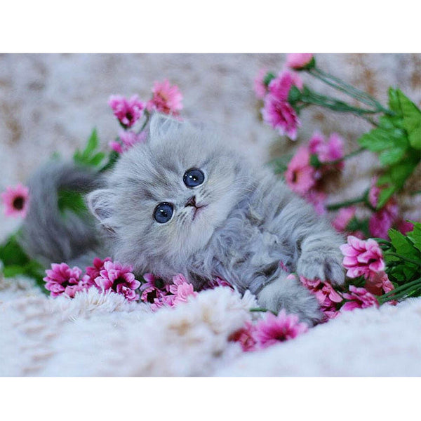 Beautiful White Fairy Kitten on Pink Flower Diamond Painting Art – Paint by  Diamonds