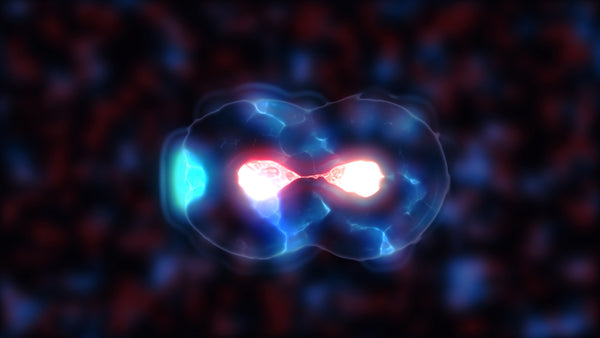 Un vistazo a la biología molecular