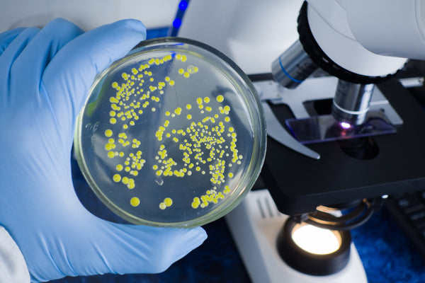 Mejor conocimiento de los microscopios