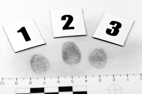 All about fingerprint identification