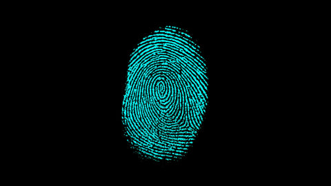 All about fingerprint identification