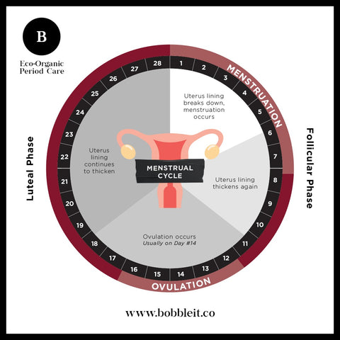 Bobble Period Products - A Woman's Menstruation Cycle in a graph