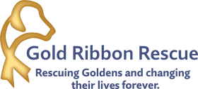 Logo-GoldRibbonRescue