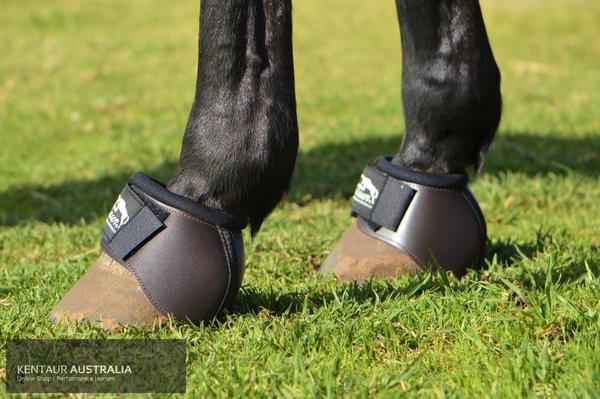 right Bell Boots for your horse 