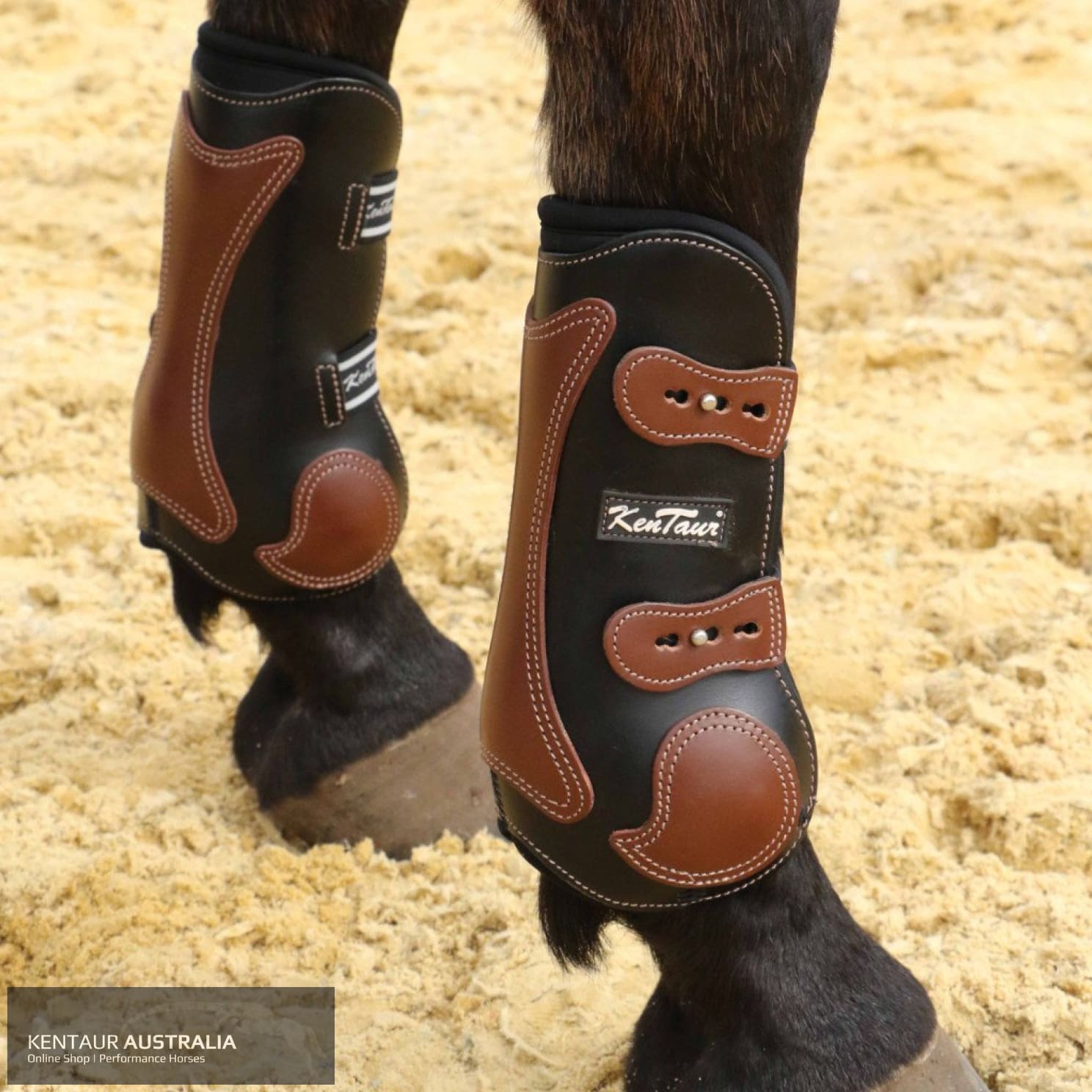 horse exercise boots australia