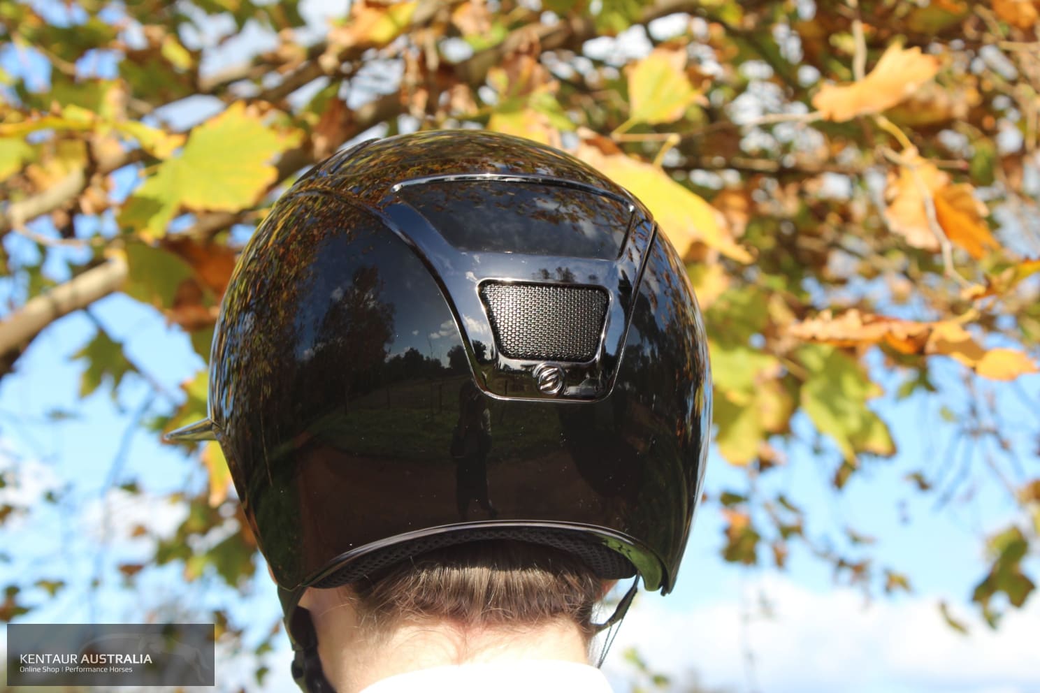 chrome gold motorcycle helmet