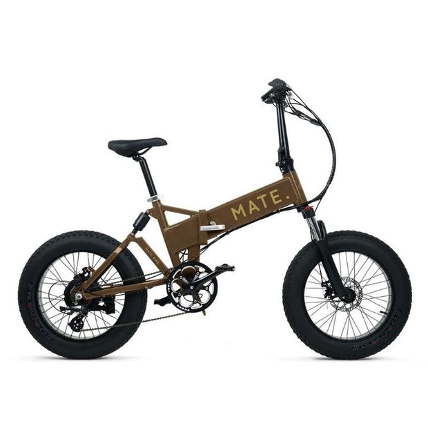 fat tyre folding electric bike