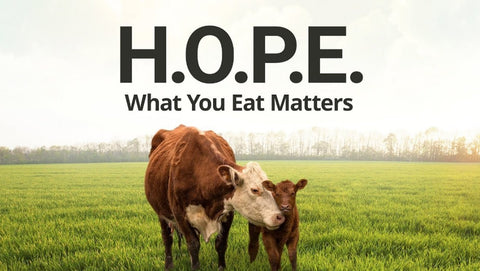 H.O.P.E: What You Eat Matters