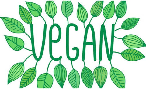 vegan businesses