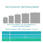 Waowoo Adult Weighted Blanket Queen Size ( 15lbs 60"x80" ) Heavy Blanket with Premium Glass Beads, ( Dark Grey 60"x80" 15.0 Pounds