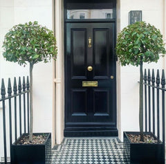 bay trees  flanking front door entrance 