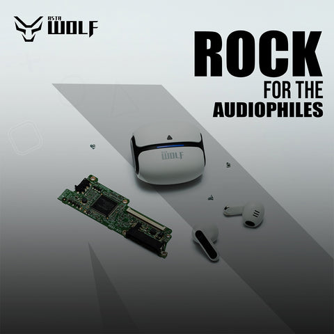 AstaWolf Rock Earbuds Price In Nepal