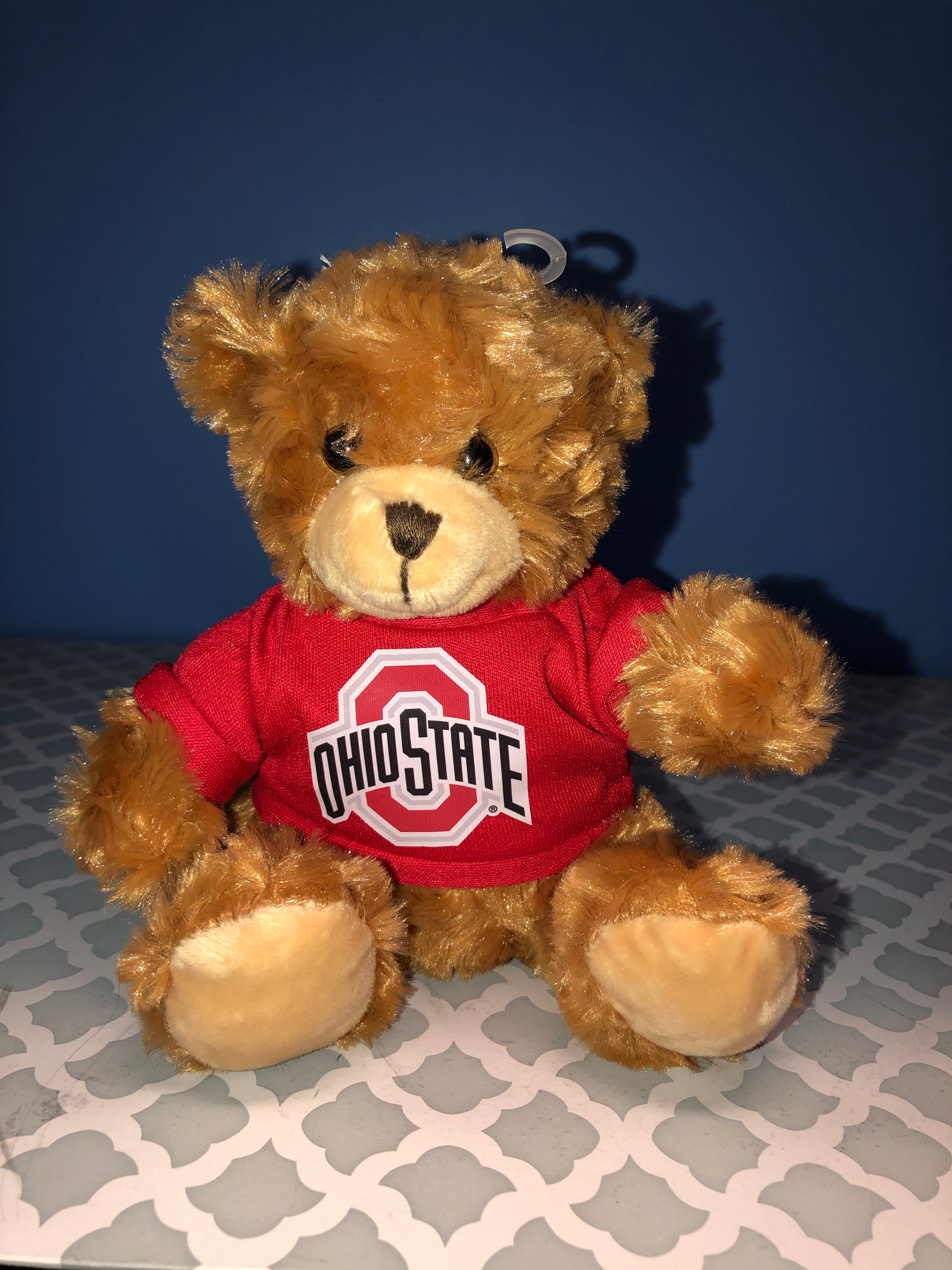 Ohio State University Bear