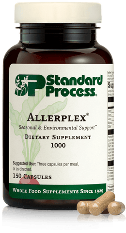 allerplex for dogs standard process