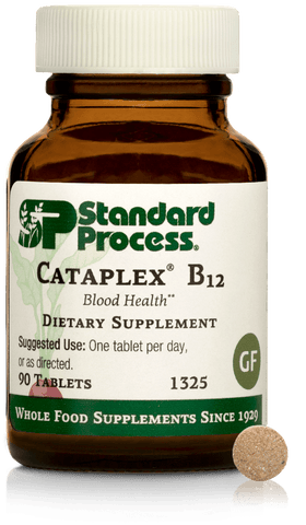 standard process cataplex b12 for dogs