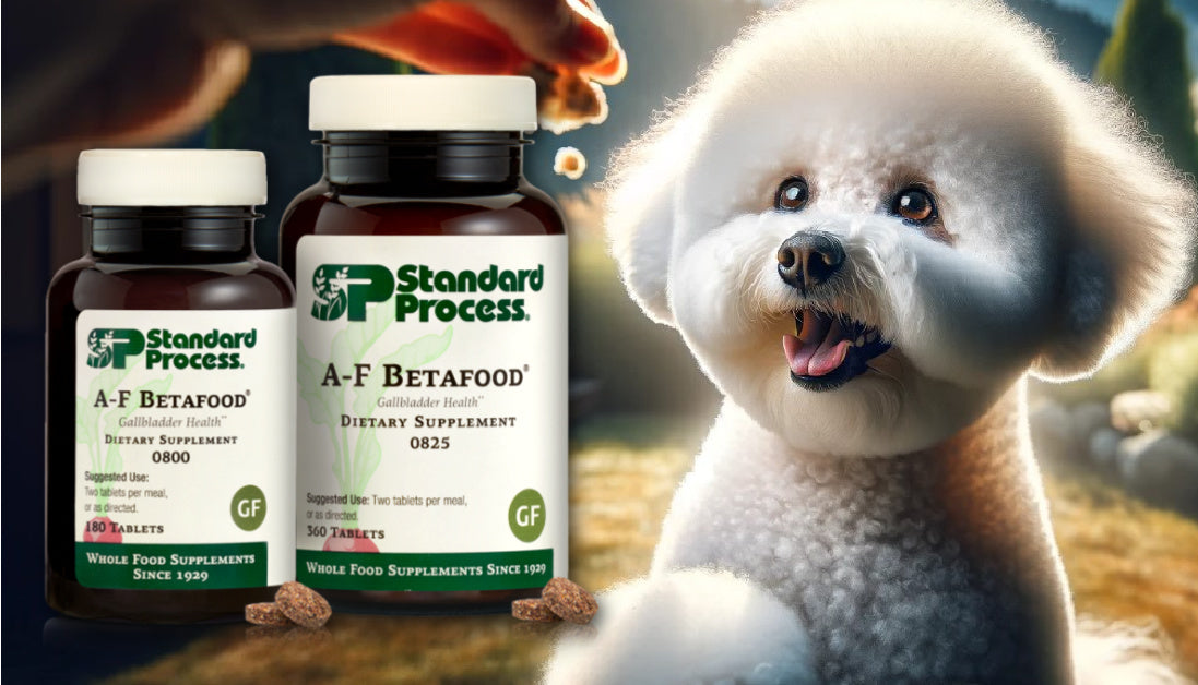 AF Betafood For Dogs