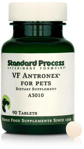 vf antronex for dogs