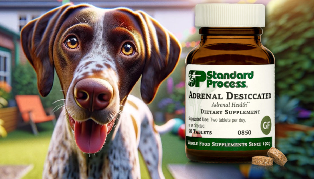 Adrenal Desiccated by Standard Process For Dogs