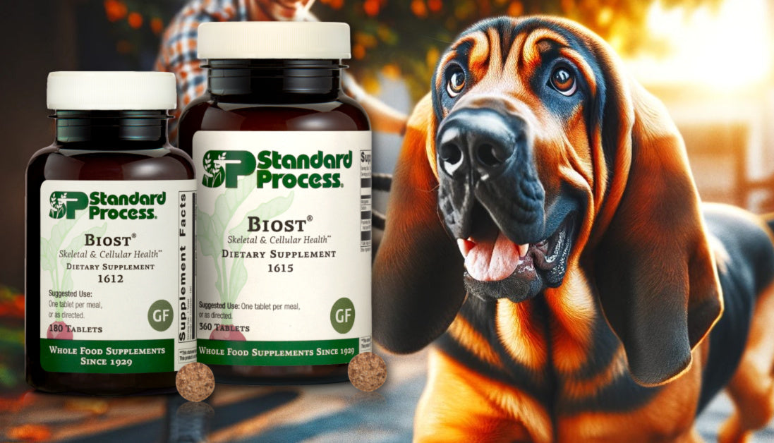 Biost For Dogs