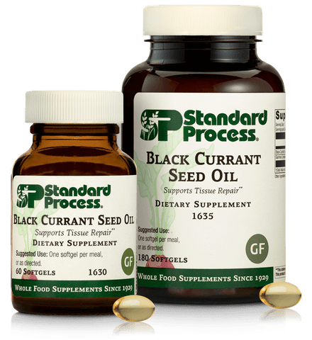 black current seed oil for dogs standard process