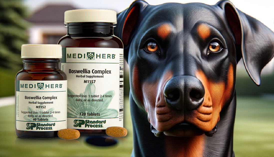 boswellia for dogs