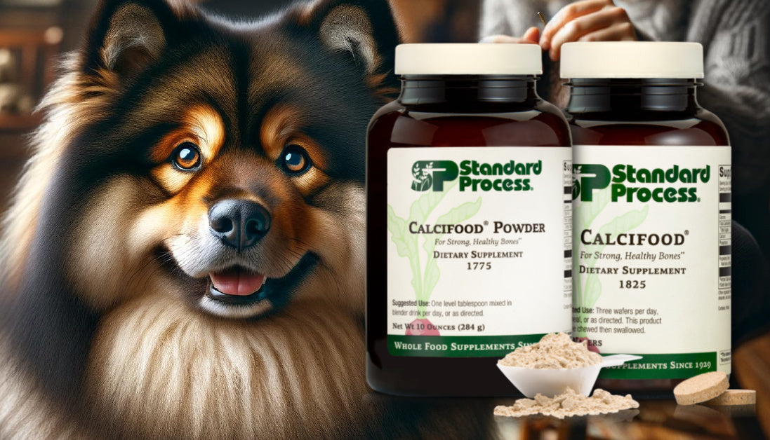calcifood for dogs standard process