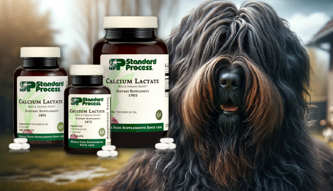 calcium lactate for dogs by standard process