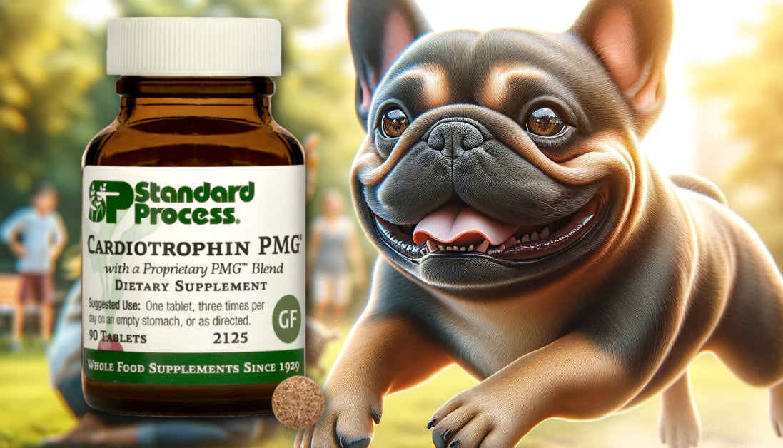 Cardiotrophin PMG for dogs