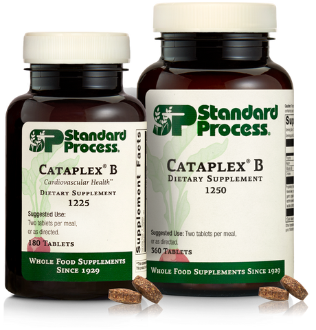 cataplex b for dogs standard process