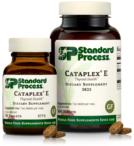 standard process cataplex e for dogs