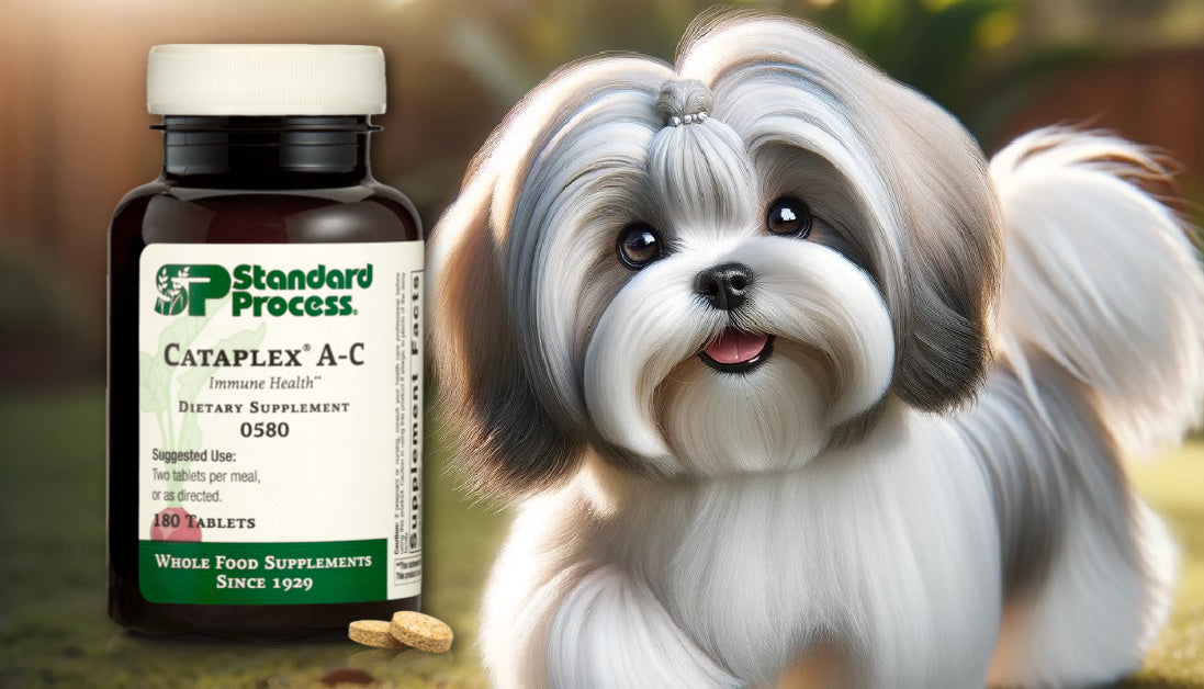 standard process cataplex A C for dogs