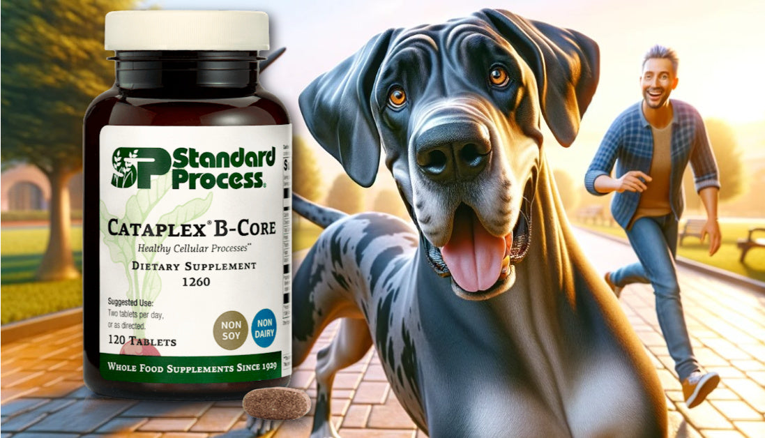 Cataplex B Core For Dogs