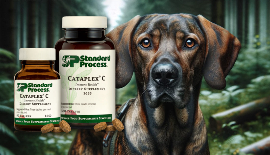 cataplex c for dogs standard process