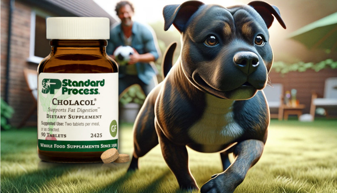 standard process cholacol for dogs