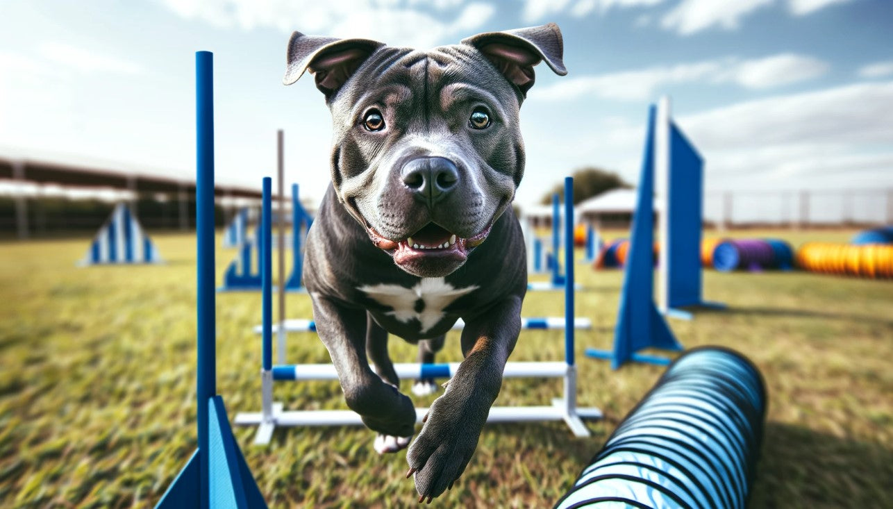 Diet and nutrition for blue nose pitbulls