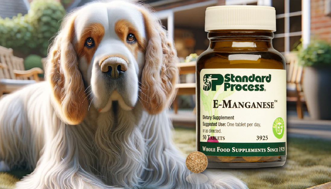 E-Manganese For Dogs Journeys Holistic Life