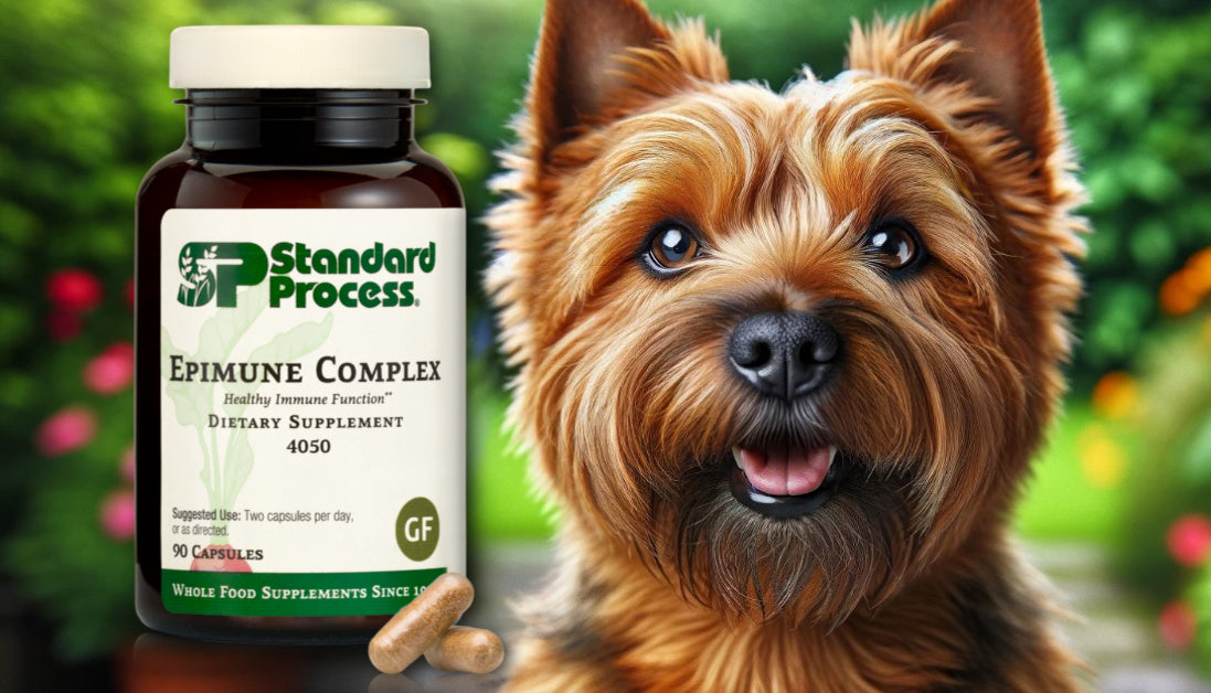 Epimune Complex for Dogs Journeys Holistic Life