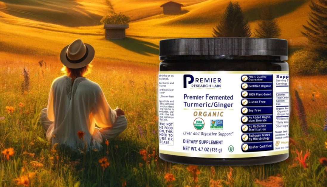 Fermented Turmeric Powder by PRL