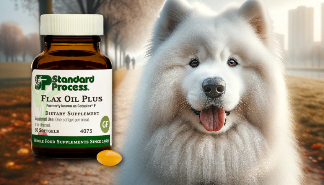 Flax Oil Plus for Dogs Standard Process