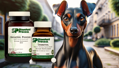 Inositol for Dogs Journeys Holistic Life