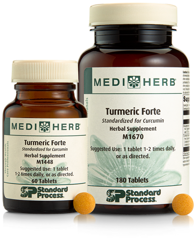 Turmeric Forte by Standard Process