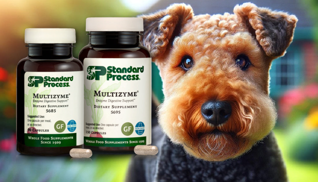Multizyme for Dogs Journeys Holistic Life