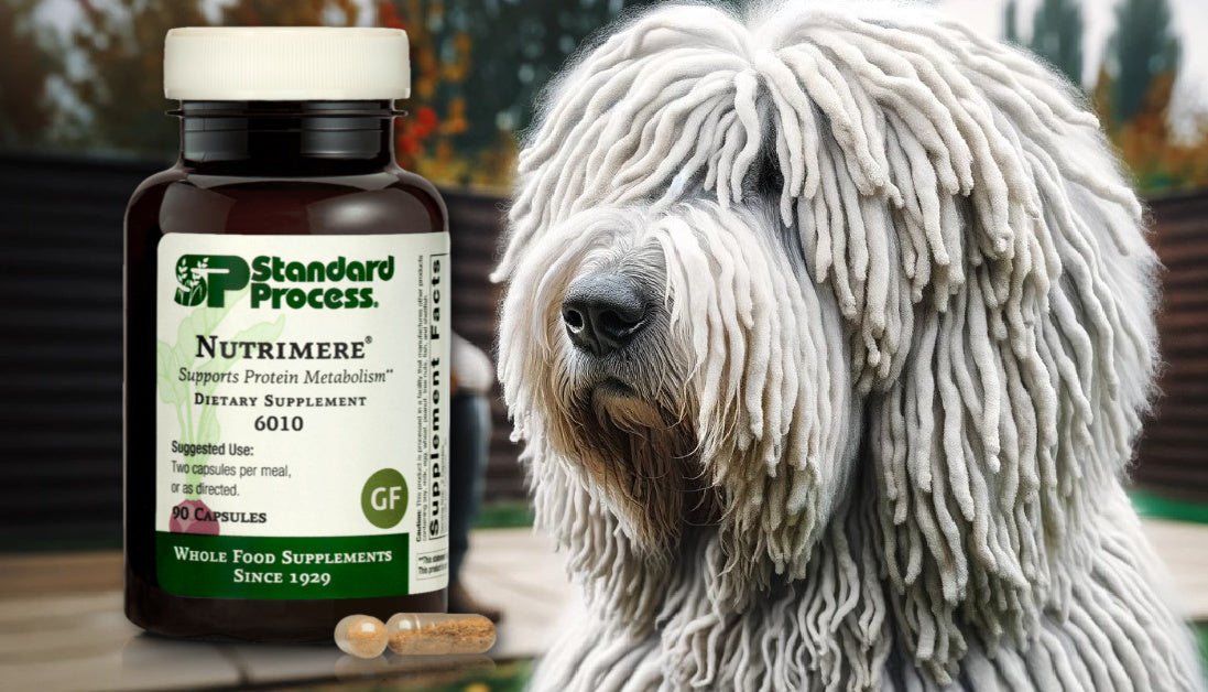 Nutrimere for Dogs Journeys Holistic Life