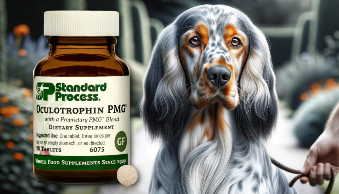 Oculotrophin PMG for Dogs Journeys Holistic Life
