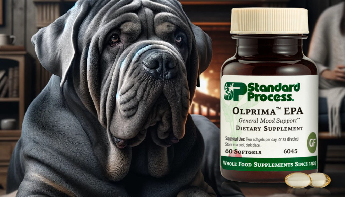 Olprima EPA for Dogs Journeys Holistic Life